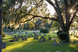 Selling Cemetery Plots in Texas: What to Know About Burial Plot Laws